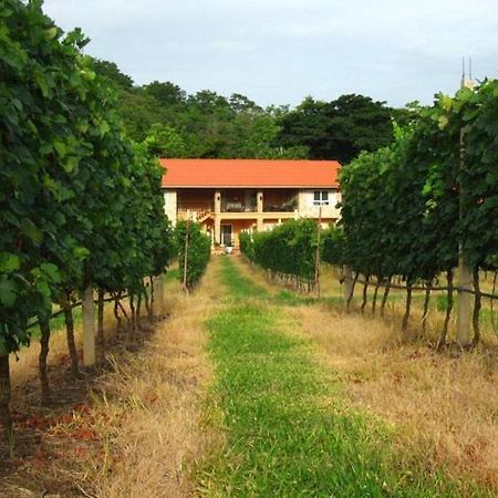 Granmonte Wine Cottage Phayayen Экстерьер фото