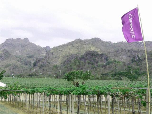 Granmonte Wine Cottage Phayayen Экстерьер фото
