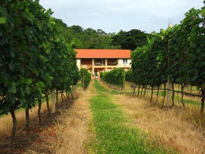 Granmonte Wine Cottage Phayayen Экстерьер фото