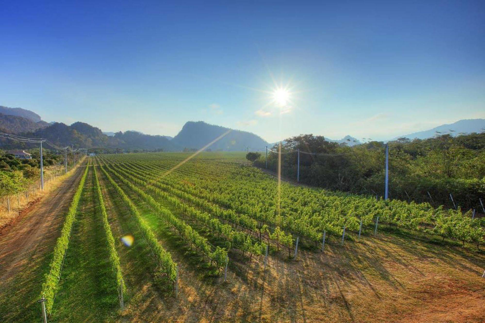 Granmonte Wine Cottage Phayayen Экстерьер фото