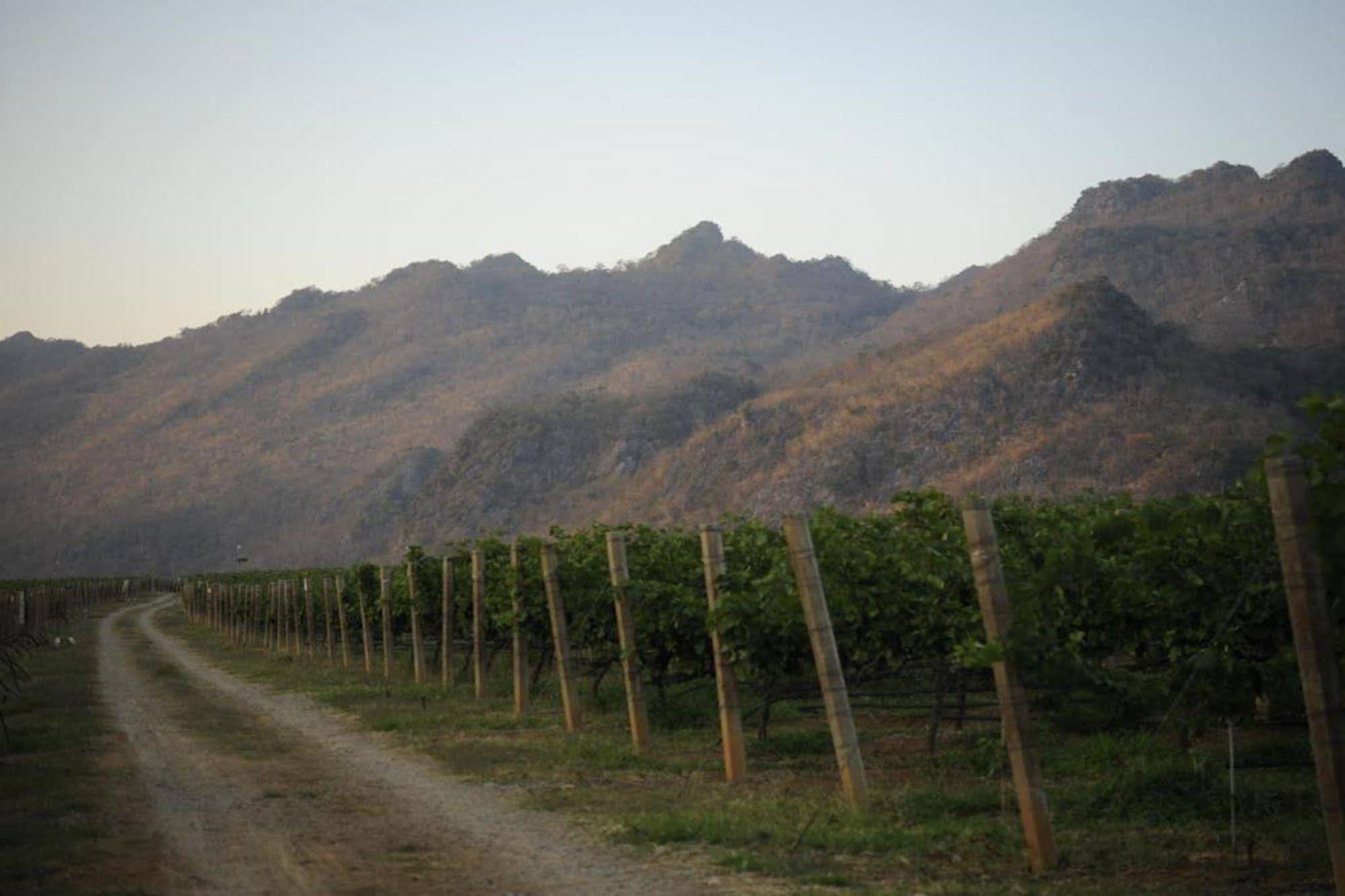 Granmonte Wine Cottage Phayayen Экстерьер фото