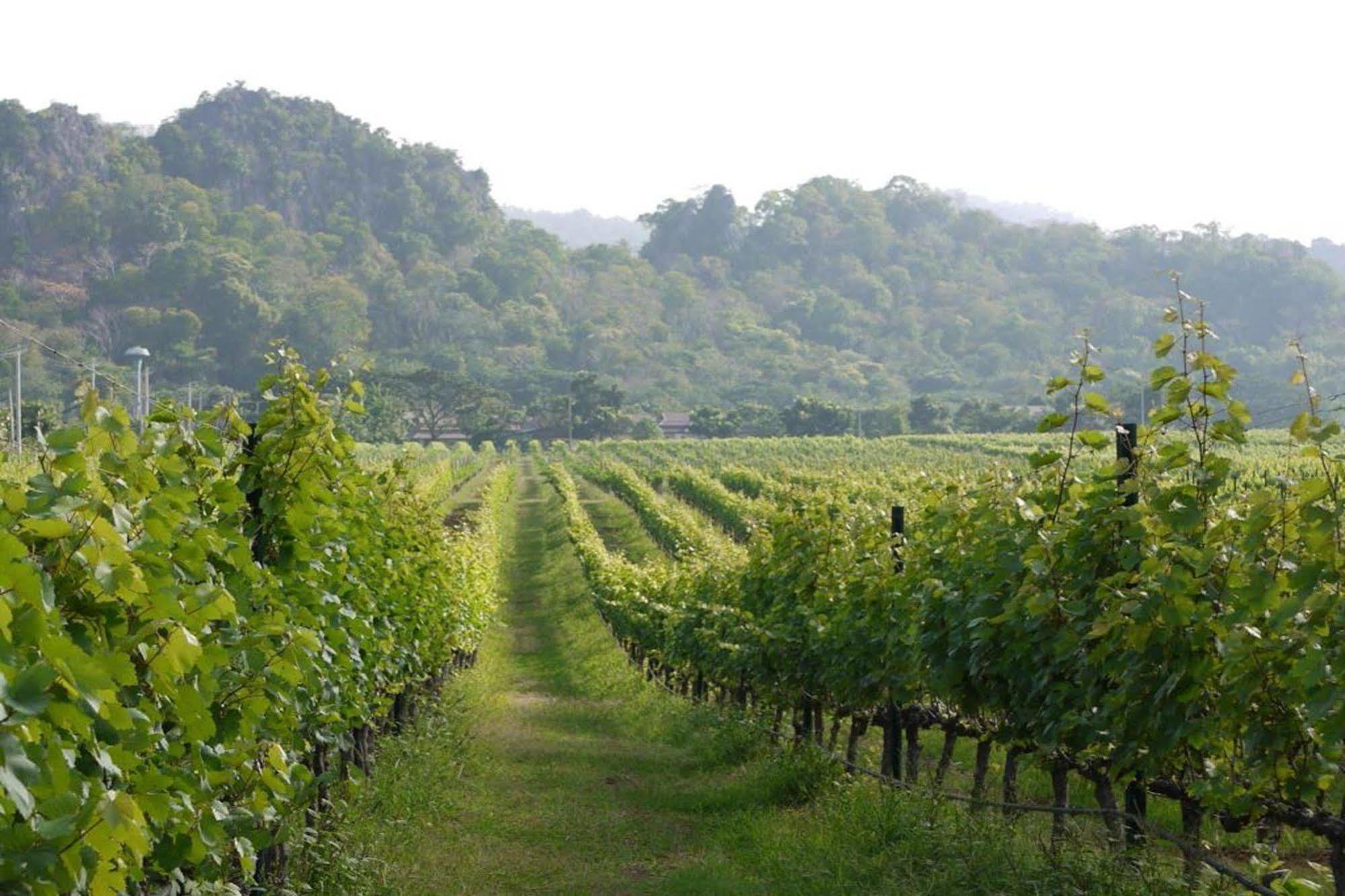 Granmonte Wine Cottage Phayayen Экстерьер фото