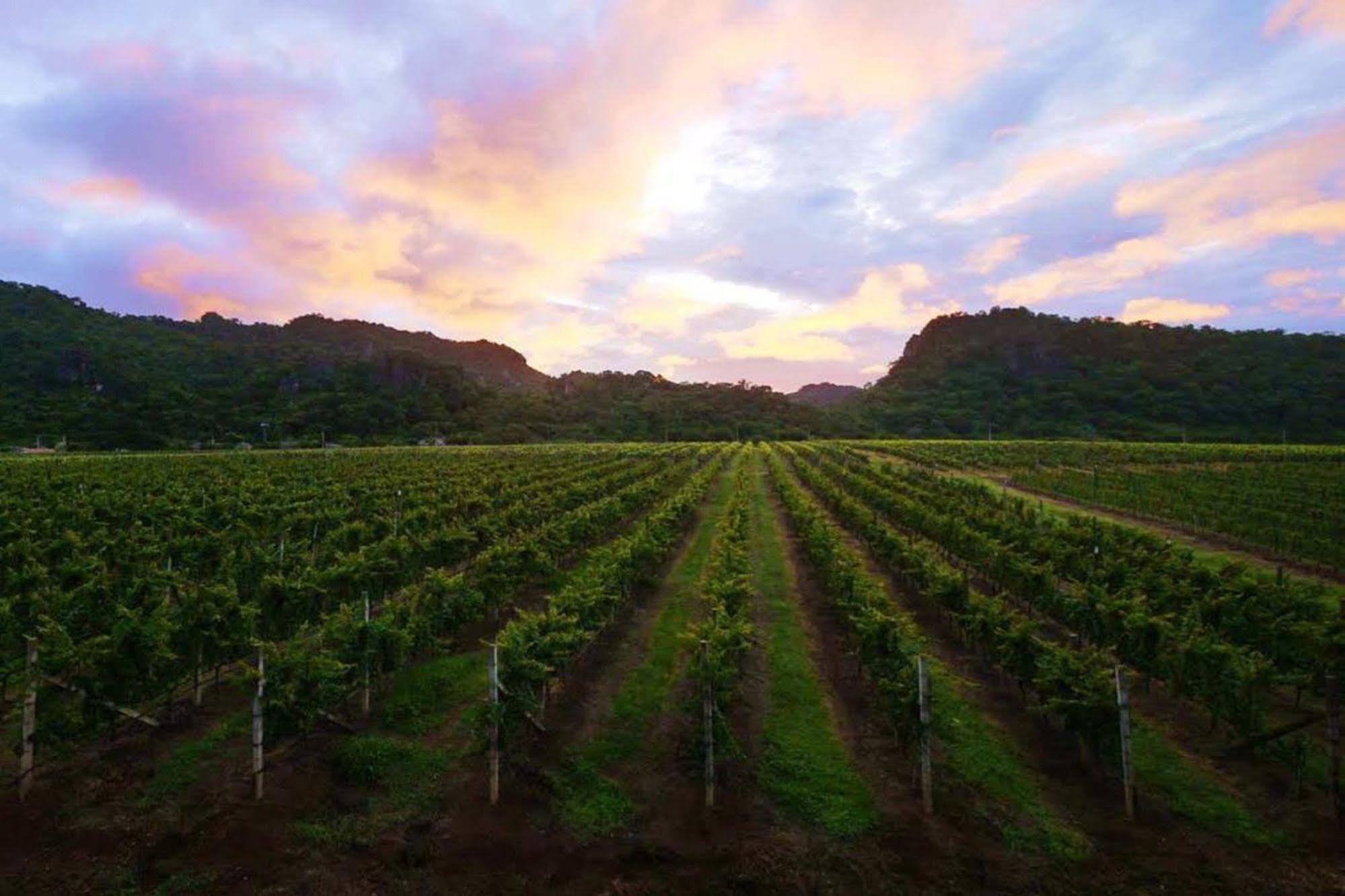 Granmonte Wine Cottage Phayayen Экстерьер фото